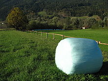 A completely wrapped silage bale in Austria Heuballen Plastik Steiermark.jpg