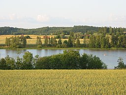 Sjön sedd från byn Ihamäki i Somero i augusti 2009.