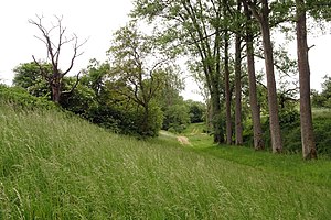 Hollow natural monument "Felsenwiese am Kalkofen", south-western part