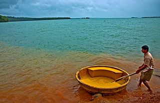 Honnemaradu lake in India