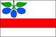 Horní Slivno zászlaja