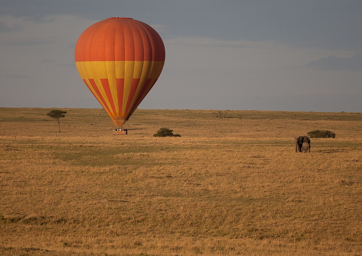 File:Hot air ballon safari Maasai Mara National Reserve Kenya.jpg - Wikipedia