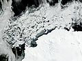 Ice ross sea.jpg