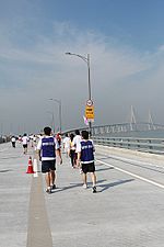 Thumbnail for File:Incheon Bridge IMG 2043.jpg