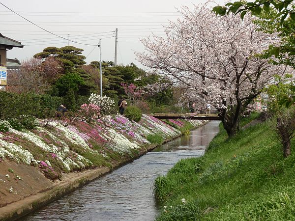 Isehara Shibuta River