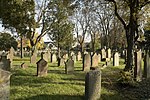 Jüdischer Friedhof (Wachenheim)