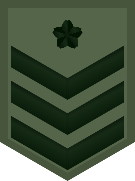 Tập_tin:JGSDF_Leading_Private_insignia_(miniature).svg