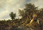 Thumbnail for Jacob van Ruisdael exhibition 2005-2006