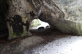 Jaskinia Jasna koło Smolenia DK 22 (4).jpg