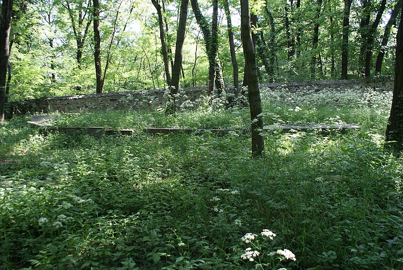 File:Jewish cemetery in Postřižín 15.JPG