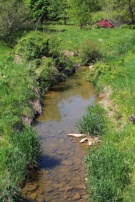 Johnson Creek looking upstream