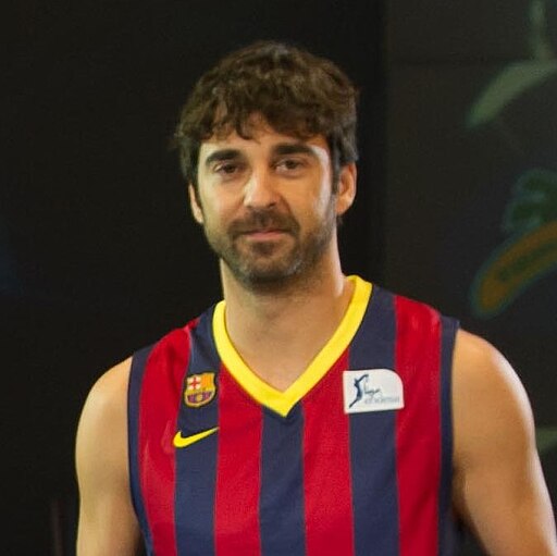 Juan Carlos Navarro 2013