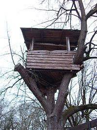 Baumhütte auf der Jugendfarm Freiberg/Rot