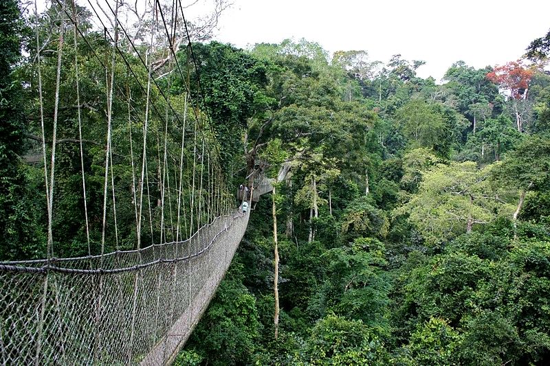 Kakum National Park - Wikipedia