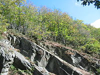 Southern hillside of the Kermeter with oak woods and slate crags