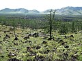 Miniatura para Parque nacional Jorgo-Terjin Tsagan Nuur