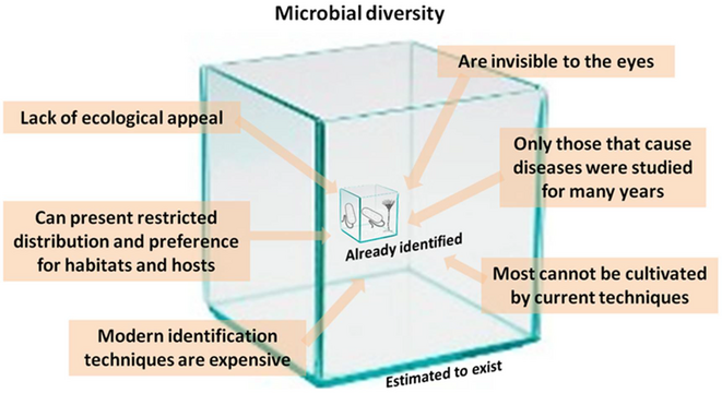 Known, estimated and unknown microbial diversity.webp