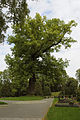 This is a picture of the Hessian Kulturdenkmal (cultural monument) with the ID 51400 (Wikidata)