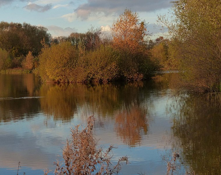 File:Lake in the Watermead Country Park - geograph.org.uk - 3244733.jpg