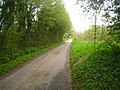 Thumbnail for File:Lane to Bentworth - geograph.org.uk - 2985019.jpg