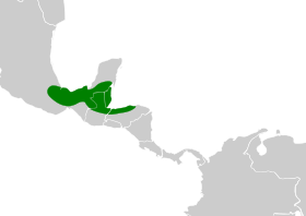 Distribución geográfica de la tangara gorjinegra.