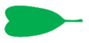 Leaf morphology obcordate.png