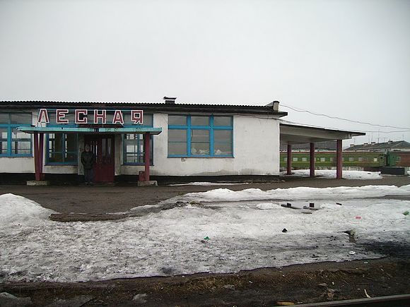 Городской поселок лесной. Поселок Лесной Верхнекамский район. Посёлок Лесной Кировская область. Лесной Кировская область Верхнекамский район. Станция Лесная Верхнекамский район.