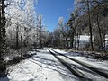 * Nomination Light on trees with snow, Séveraissette valley. --Yann 11:07, 15 January 2024 (UTC) * Decline  Oppose Sorry but there's nothing really sharp here. --Plozessor 05:47, 16 January 2024 (UTC)