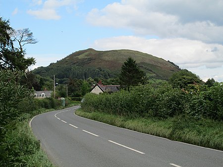 Llwyn Bryn Dinas 3