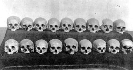 Skulls of the counts of Celje