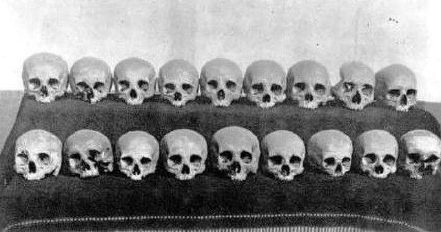 Skulls of the counts of Celje