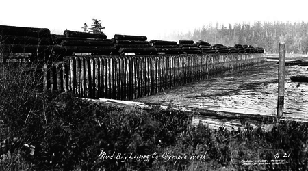 Log cars of the Mud Bay Logging Company at the Mud Bay log dump Log cars at Mud Bay.png