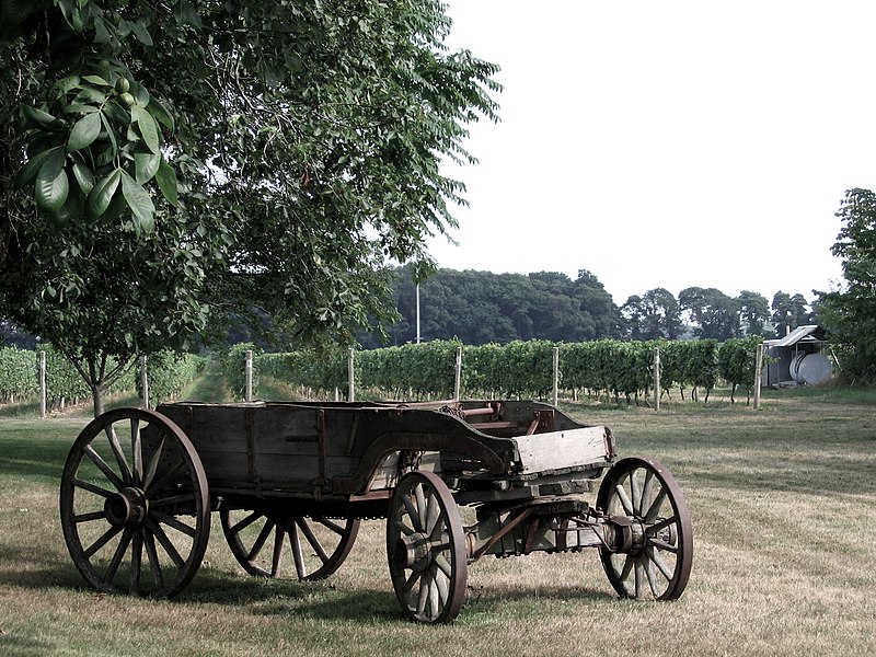 File:Long Island Vineyard Wagon 4887551609.jpg