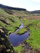 Looking south from Davidson`s Linn - geograph.org.uk - 777716.jpg