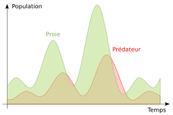 Campagnol invasif et dévoreur