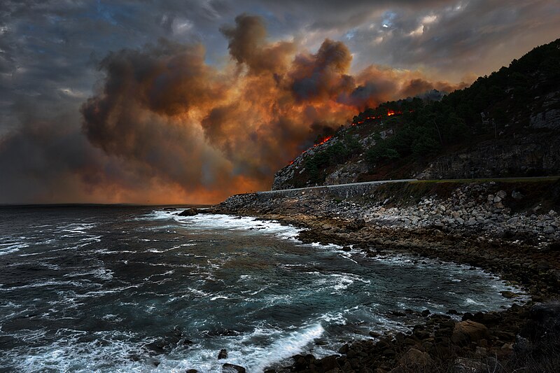 File:Lume en Baiona, Vaga de incendios forestais de 2017 en Galicia.jpg