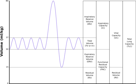 Lung Capacity And Age Chart