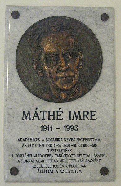 File:Máthé Imre commemorative plaque.JPG