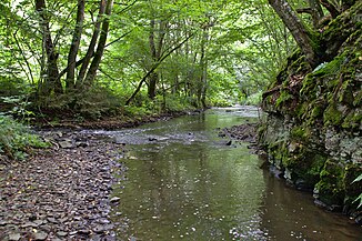 Armuthsbach bei der Daubiansmühle, links mündet der Buchholzbach.