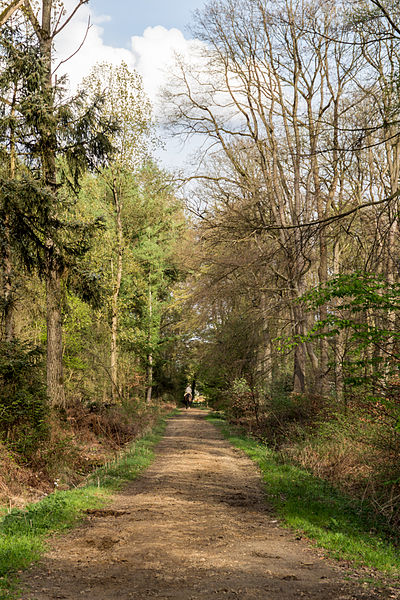 File:Münster, Wolbeck, Wolbecker Tiergarten -- 2014 -- 7118.jpg