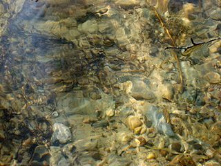 <span class="mw-page-title-main">Madum Lake</span> Body of water