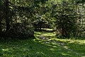 * Nomination Nature trail in the Seebach Valley near Mallnitz, High Tauern National Park, Carinthia, Austria --Uoaei1 03:26, 21 September 2021 (UTC) * Promotion  Support Good quality -- Johann Jaritz 03:37, 21 September 2021 (UTC)