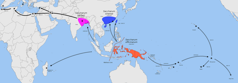 File:Map showing centers of origin of Saccharum officinarum in New Guinea, S. sinensis in China, and S. barberi in India.png