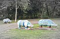 Hippos made from concrete appear at the park