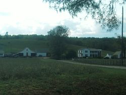 Meadow Grove Farm, view from roadway of house.JPG