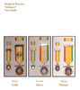 Medal of Bravery of the Military Medals of the State of Palestine.png