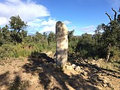 Menhir dels Estanys II