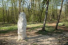 On the left of the picture the menhir, on the right a tree with a marking and inscription.  In the background a forest path.