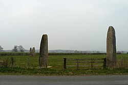 Illustrerende billede af artiklen Menhirs d'Époigny