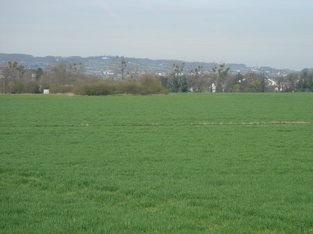 Messdorfer Feld